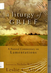 Image of A Liturgy of Grief : A Pastoral Commentary on Lamentations