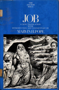 Image of Job (The Achor Bible) Volume 15