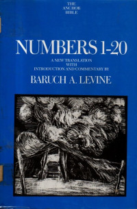 Image of Numbers 1-20 (The Achor Bible) Volume 4