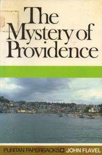 Image of The Mystery of Providence
